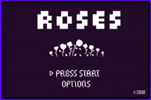 8 Bit Roses: A Nostalgic Font for Modern Design Workflows