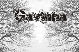 Gavinha: A Decorative Display Font for Bold and Eye-Catching Designs