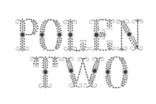 Polen Two: A Unique Display Font for Creative Expression