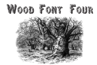 Wood Four: A Bold Choice for Nature-Inspired Design